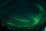 Polarlichter zwischen Skjervøy und Tromsø, Nov. 2019, Bild 3 (© Monika Maintz)
