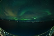 Polarlichter zwischen Skjervøy und Tromsø, Nov. 2019, Bild 5 (© Monika Maintz)