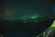 Polarlichter zwischen Skjervøy und Tromsø, Nov. 2019, Bild 6 (© Monika Maintz)
