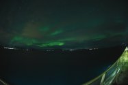 Polarlichter zwischen Skjervøy und Tromsø, Nov. 2019, Bild 7 (© Monika Maintz)