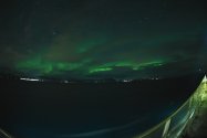 Polarlichter zwischen Skjervøy und Tromsø, Nov. 2019, Bild 8 (© Monika Maintz)