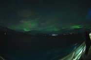 Polarlichter zwischen Skjervøy und Tromsø, Nov. 2019, Bild 11 (© Monika Maintz)