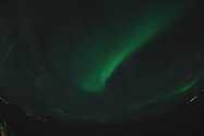 Polarlichter zwischen Skjervøy und Tromsø, Nov. 2019, Bild 23 (© Monika Maintz)