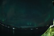 Polarlichter zwischen Skjervøy und Tromsø, Nov. 2019, Bild 26 (© Monika Maintz)