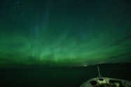 Polarlichter zwischen Rørvik und Brønnøysund, Jan./Feb. 2019, Bild 15 (© Monika Maintz)