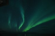 Polarlichter zwischen Kjøllefjord und Mehamn, Jan./Feb. 2019, Bild 7 (© Monika Maintz)