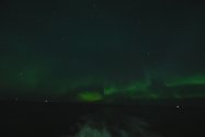 Polarlichter zwischen Mehamn und Berlevåg, Jan./Feb. 2019, Bild 23 (© Monika Maintz)