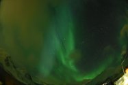 Polarlichter zwischen Tromsø und Skjervøy, 26.02.2020, Bild 15 (© Monika Maintz)