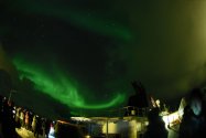 Polarlichter zwischen Tromsø und Skjervøy, 26.02.2020, Bild 25 (© Monika Maintz)