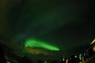 Polarlichter zwischen Tromsø und Skjervøy, 26.02.2020, Bild 28 (© Monika Maintz)
