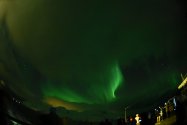 Polarlichter zwischen Tromsø und Skjervøy, 26.02.2020, Bild 31 (© Monika Maintz)