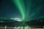 Polarlichter zwischen Tromsø und Finnsnes, Jan./Feb. 2019, Bild 2 (© Monika Maintz)