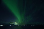 Polarlichter zwischen Tromsø und Finnsnes, Jan./Feb. 2019, Bild 6 (© Monika Maintz)
