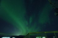 Polarlichter zwischen Tromsø und Finnsnes, Jan./Feb. 2019, Bild 11 (© Monika Maintz)
