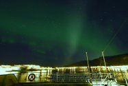 Polarlichter zwischen Tromsø und Finnsnes, Jan./Feb. 2019, Bild 12 (© Monika Maintz)