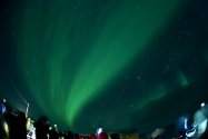 Polarlichter zwischen Berlevåg und Vardø, 27./28.02.2020, Bild 6 (© Monika Maintz)