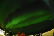 Polarlichter zwischen Berlevåg und Vardø, 27./28.02.2020, Bild 13 (© Monika Maintz)