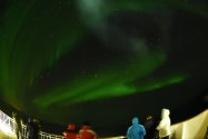 Polarlichter zwischen Berlevåg und Vardø, 27./28.02.2020, Bild 20 (© Monika Maintz)