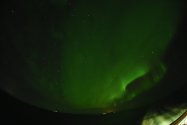 Polarlichter zwischen Berlevåg und Vardø, 27./28.02.2020, Bild 33 (© Monika Maintz)