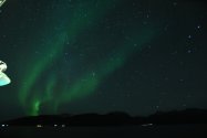 Polarlichter zwischen Hammerfest und Tromsø, Bild 5 (© Monika Maintz)
