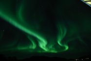 Polarlichter zwischen Hammerfest und Tromsø, Bild 16 (© Monika Maintz)