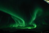Polarlichter zwischen Hammerfest und Tromsø, Bild 17 (© Monika Maintz)