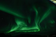 Polarlichter zwischen Hammerfest und Tromsø, Bild 18 (© Monika Maintz)