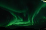 Polarlichter zwischen Hammerfest und Tromsø, Bild 19 (© Monika Maintz)