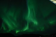 Polarlichter zwischen Hammerfest und Tromsø, Bild 20 (© Monika Maintz)
