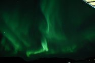 Polarlichter zwischen Hammerfest und Tromsø, Bild 21 (© Monika Maintz)