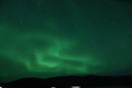 Polarlichter zwischen Hammerfest und Tromsø, Bild 24 (© Monika Maintz)