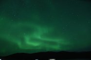 Polarlichter zwischen Hammerfest und Tromsø, Bild 24 (© Monika Maintz)