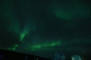 Polarlichter zwischen Berlevåg und Båtsfjord, Bild 3 (© Monika Maintz)