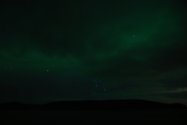 Polarlichter zwischen Båtsfjord und Vardø, Bild 2 (© Monika Maintz)