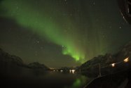Polarlichter über dem Raftsund, 19.02.2023, Bild 1 (© Stefanie Schwemmer)