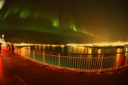 Polarlichter über Berlevåg, 20.02.2023, Bild 11 (© Monika Maintz)
